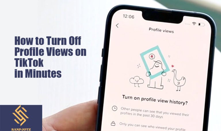 How to Turn Off Profile Views on TikTok in Minutes