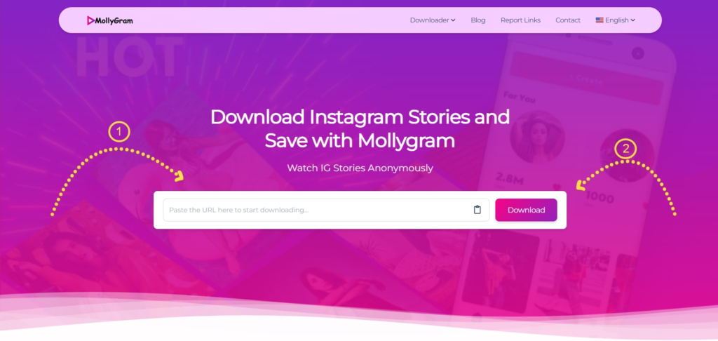 MollyGram Story Viewer for Public Stories 2 MollyGram Story Viewer